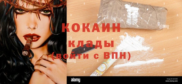 молекула духа Покров