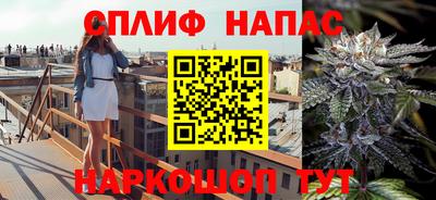 прущие грибы Бузулук