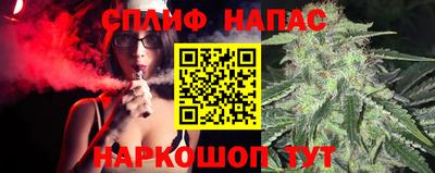 стафф Будённовск