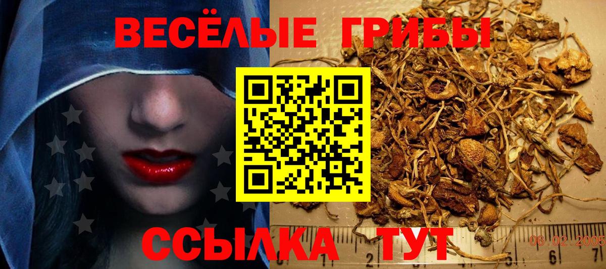 Псилоцибиновые грибы GOLDEN TEACHER Сосновоборск